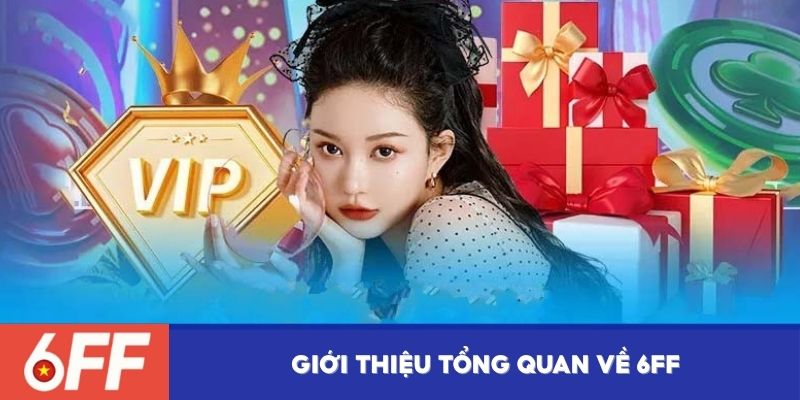 Giới thiệu tổng quan về 6FF