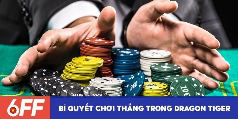 Bí quyết chơi thắng và kiếm tiền trong Dragon Tiger