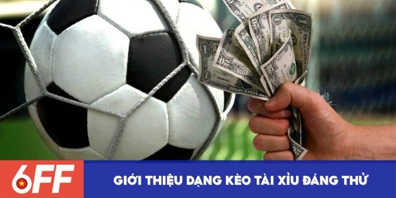 Giới thiệu dạng kèo tài xỉu đáng thử