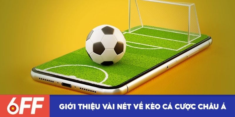 Giới thiệu vài nét về kèo cá cược châu Á