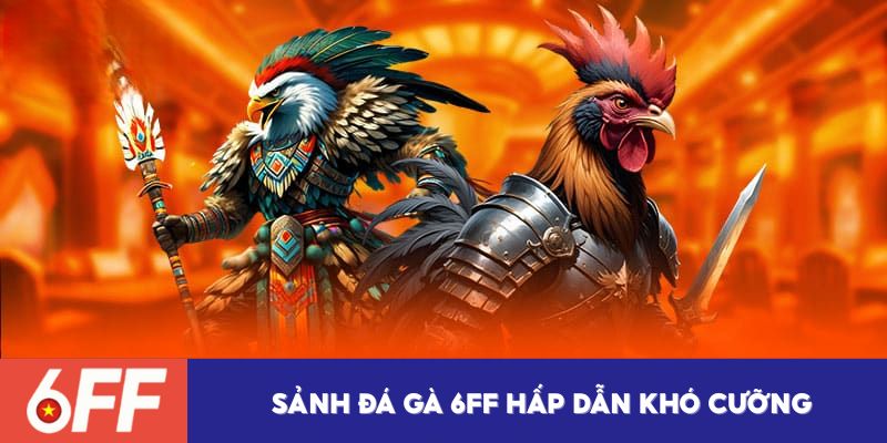 Khám phá sảnh đá gà 6FF hấp dẫn khó cưỡng 