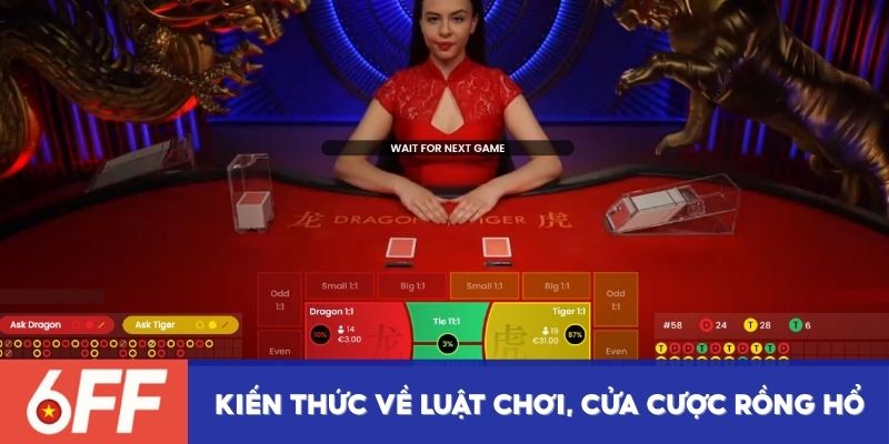 Kiến thức về luật chơi, cửa cược Rồng Hổ