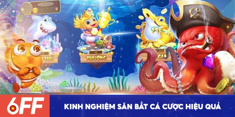 Một số kinh nghiệm săn bắt cá cược hiệu quả nhất