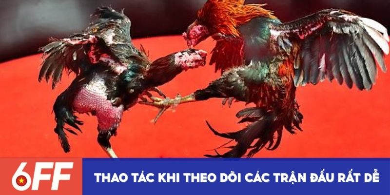 Thao tác khi theo dõi các trận đấu rất dễ