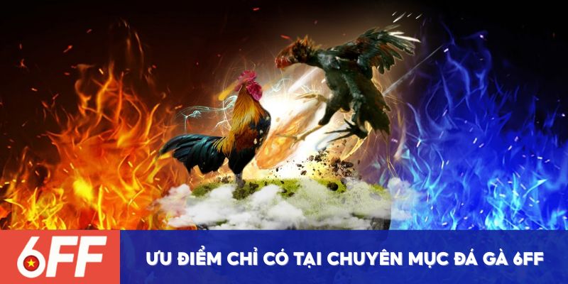 Ưu điểm chỉ có tại chuyên mục đá gà 6FF